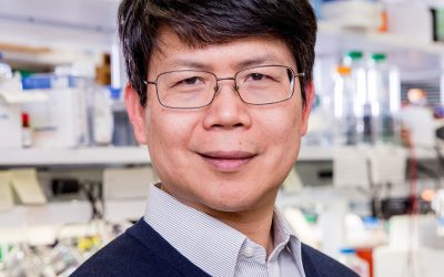 Julius Stone Lecture: James Chen, PhD
